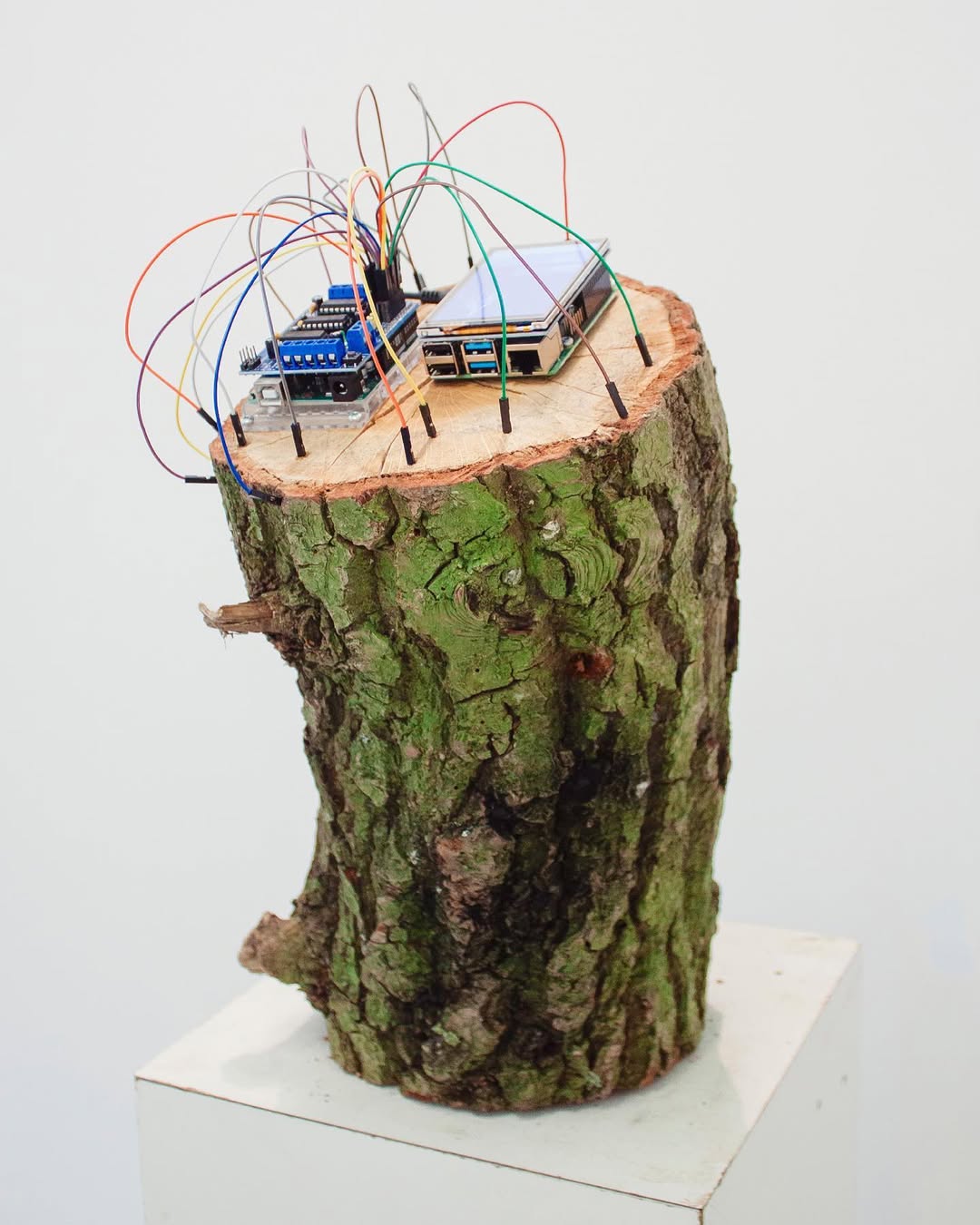 Artificial Reproduction project cover