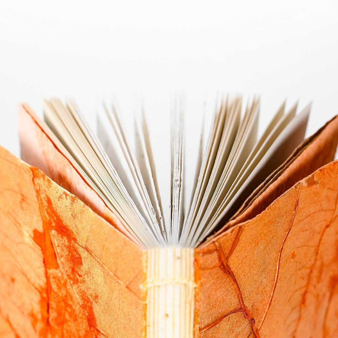 Het Bestaan Uit Allen project cover